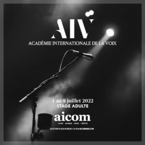 Stage AIV_AICOM