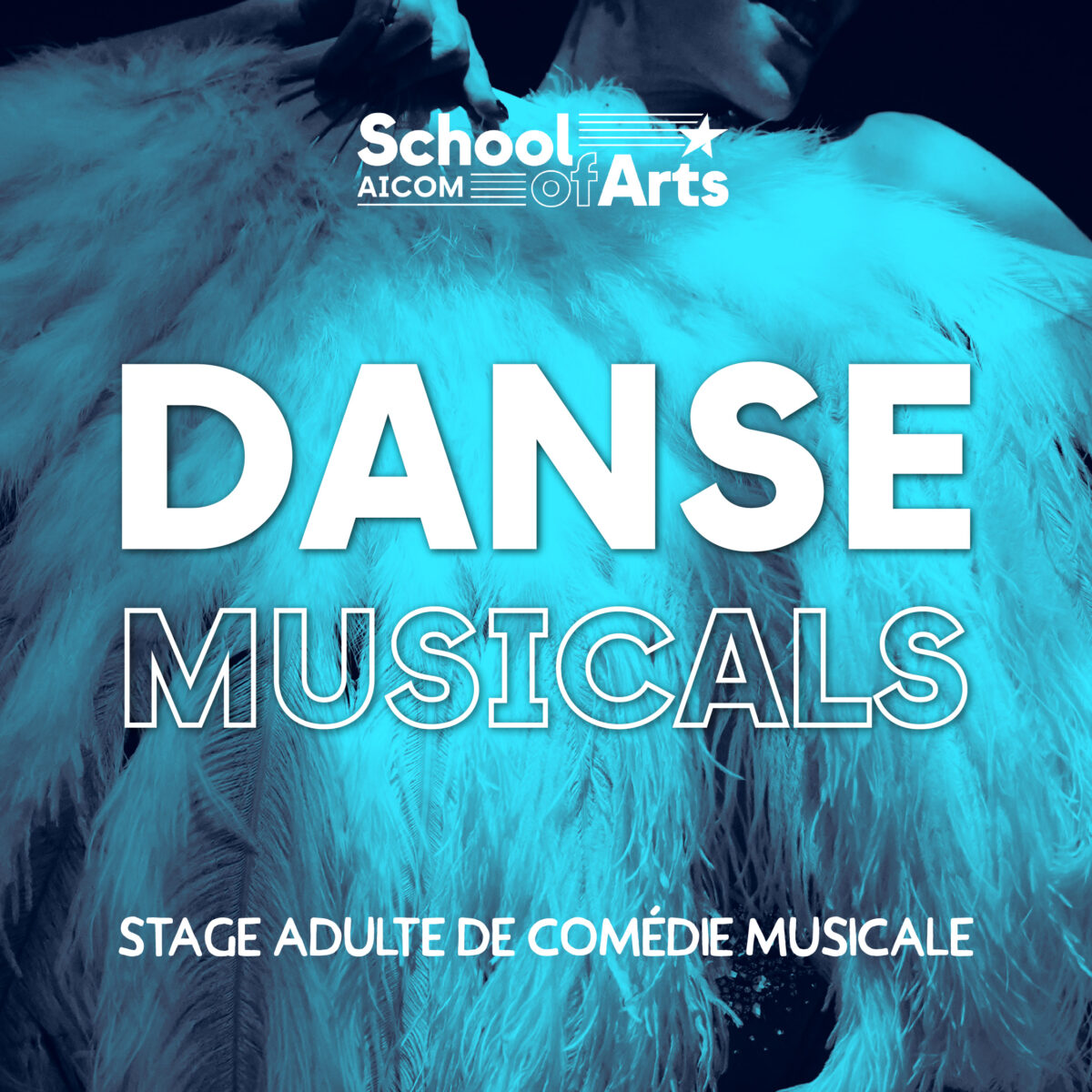 Stage Danse Musicals : Cabaret, Chicago, Dirty Dancing, Saturday Night Fever ! - Du lundi 18 au vendredi 22 août 2025